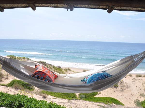 Mozambique marine safari and beach holiday