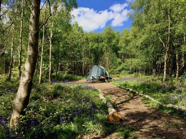 Beech Estate woodland campsite in Sussex