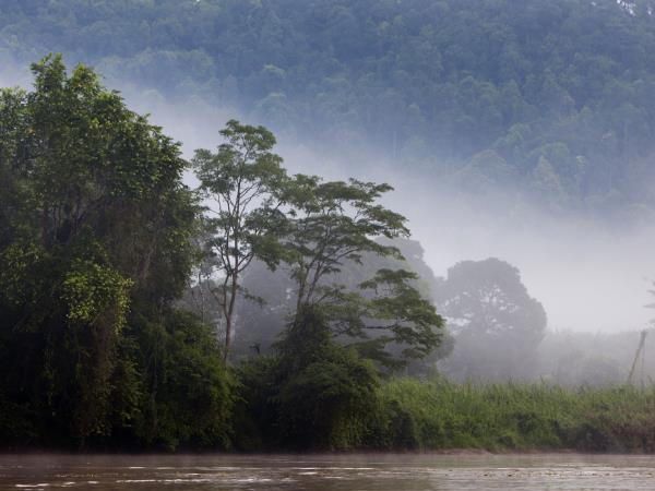 Borneo ultimate wildlife safari in Sabah