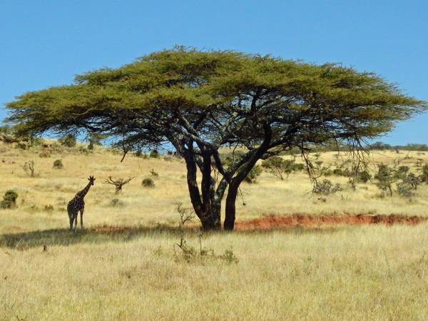 Luxury Kenya holiday