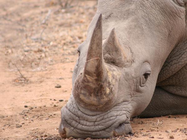Luxury Namibia safari, tailor made