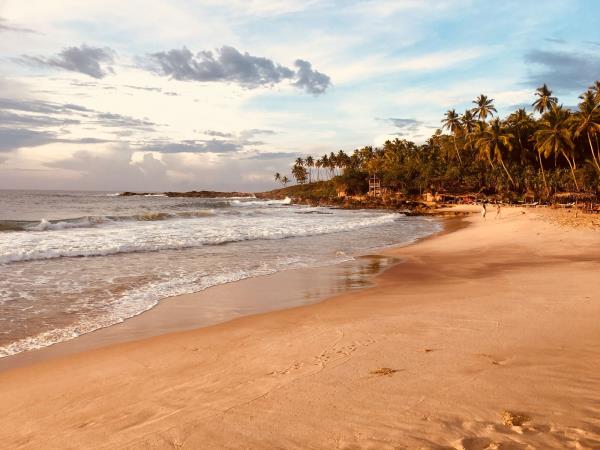 Sri Lanka tailor made tour, wildlife and culture