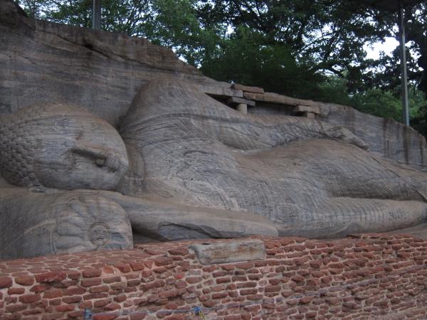 Sri Lanka tailor made tour, wildlife and culture