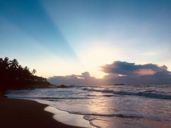 Sri Lanka tailor made tour, wildlife and culture