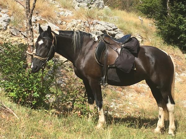 Wilderness riding holiday in Montenegro