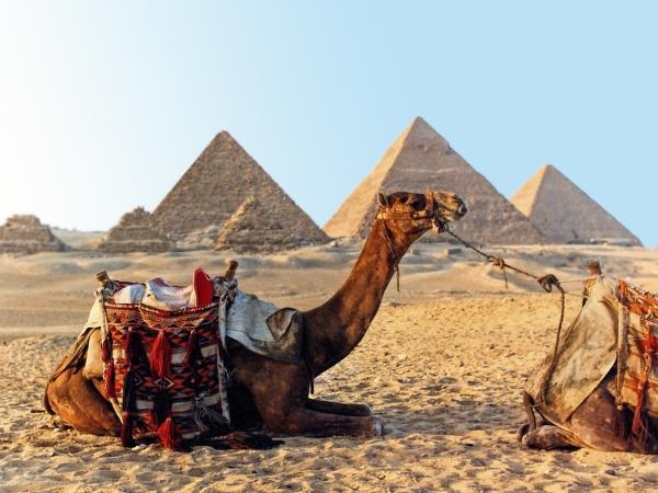 Egypt tour with Red Sea extension