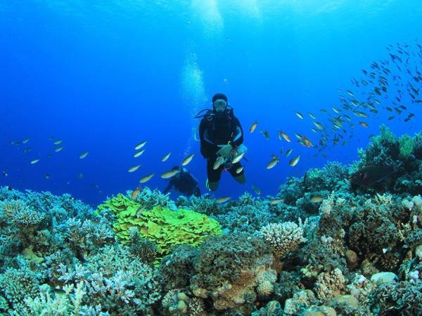 Egypt tour with Red Sea extension