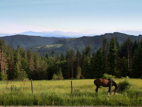 Bulgaria horse riding holiday, Orpheus Trail