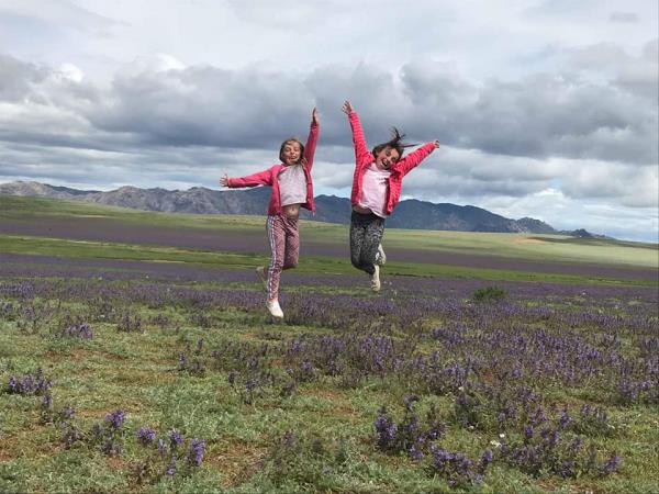 Mongolia family adventure holiday