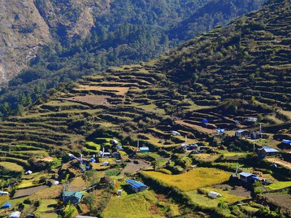Langtang trekking tour in Nepal