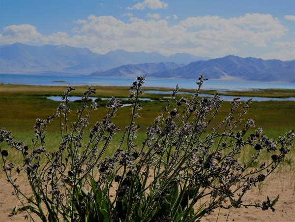 Tajikistan and Kyrgyzstan holiday