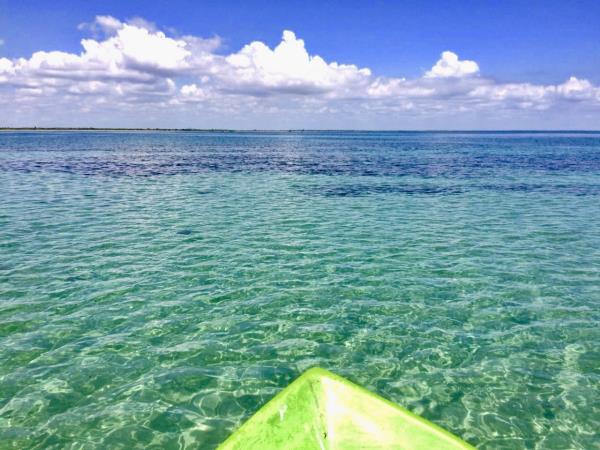 Vegan holiday in Sri Lanka