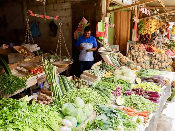 Vegan holiday in Sri Lanka