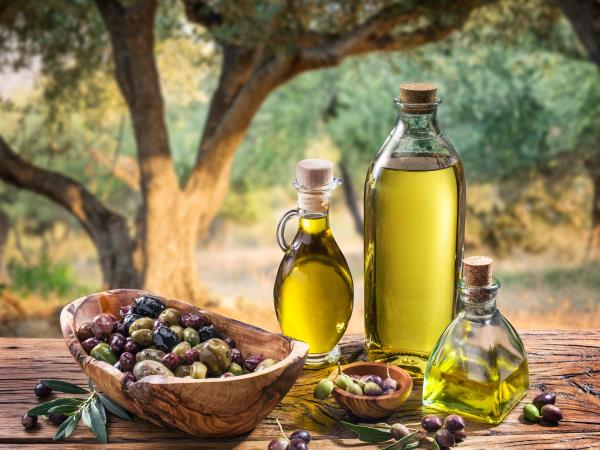 Mani holiday in the Peloponnese in Greece