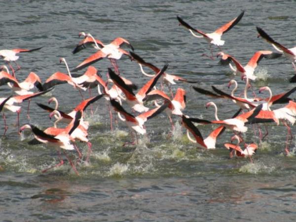 Tanzania trekking holiday, Rift Valley trail