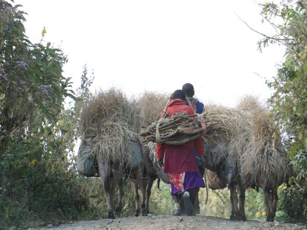 Tanzania trekking holiday, Rift Valley trail