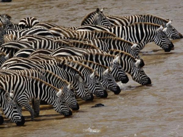 Tanzania trekking holiday, Rift Valley trail