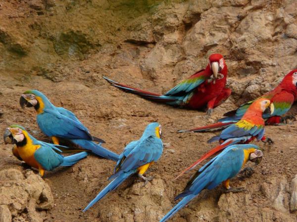 Tailormade holiday in Peru & the Amzon