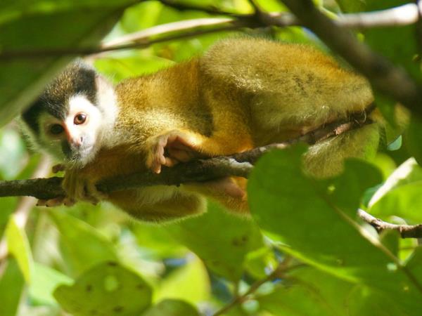 Self drive holiday in Costa Rica