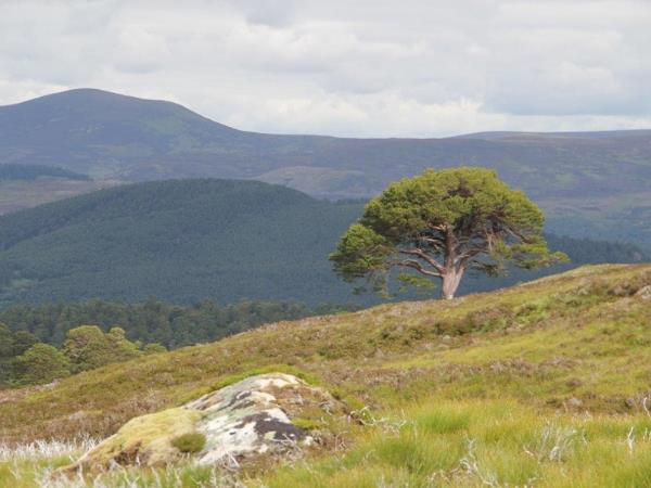 Short break walking holiday in Scotland, Lairig Ghru