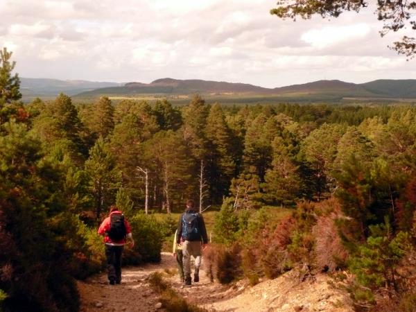 Walking holidays in Cairngorms