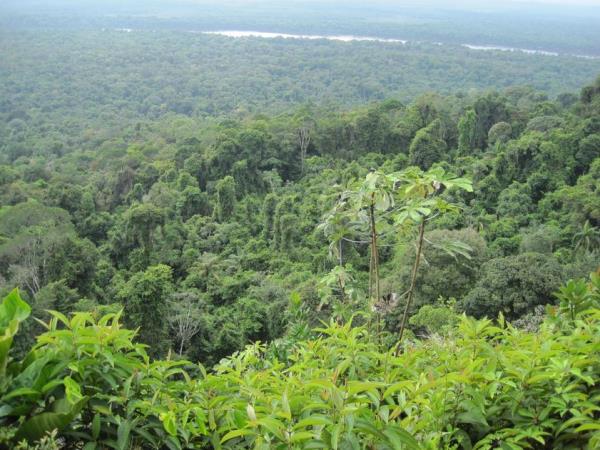 Guianas tour, small group