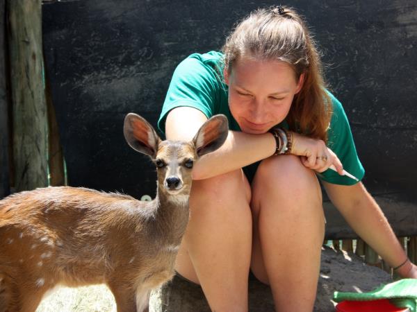 Volunteer with children & animals in South Africa