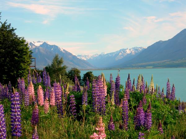 New Zealand North and South Island tour