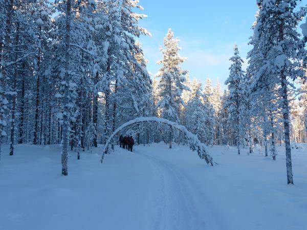 Finland activity holiday and Northern Lights