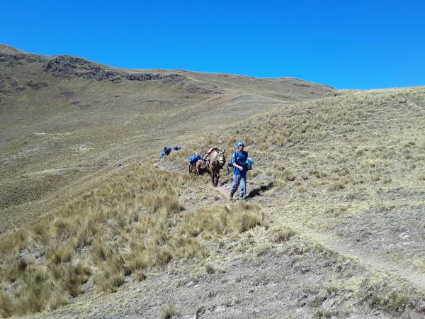 Ancascocha trek in Peru