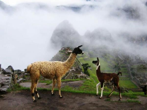 Classic Inca Trail to Machu Picchu trek