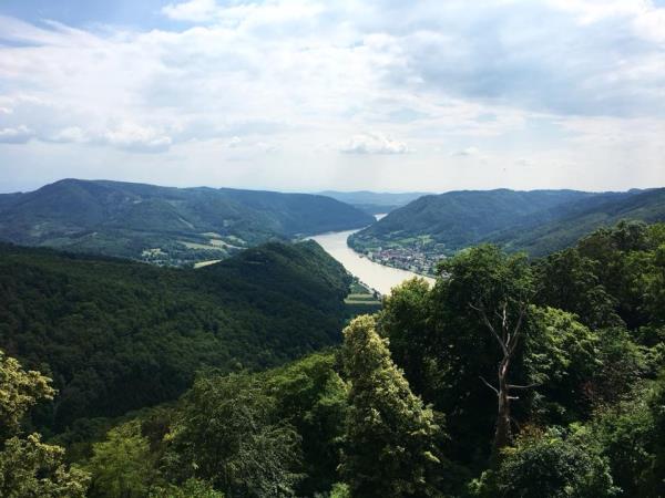 Danube self guided walking holiday in Austria