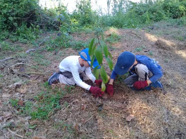 Family volunteering in Borneo