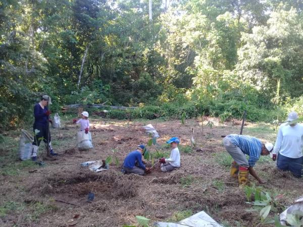 Family volunteering in Borneo