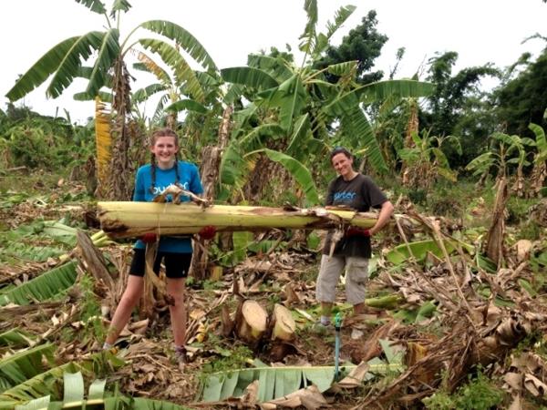 Family volunteering in Thailand