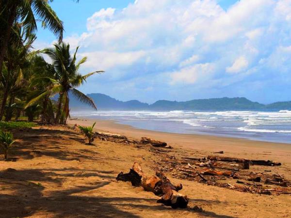 Family volunteering with turtles in Costa Rica