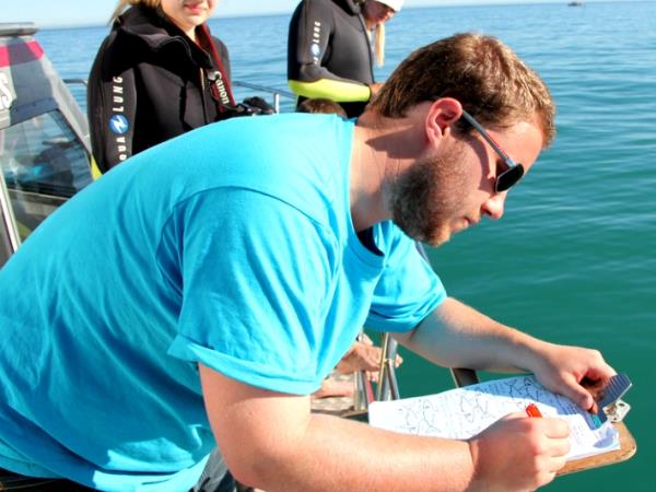 Shark conservation in South Africa