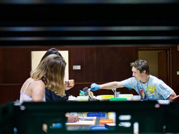 Volunteering in Portugal, fight food waste