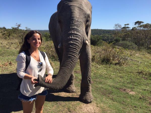 Veterinary internship in Chintsa, South Africa
