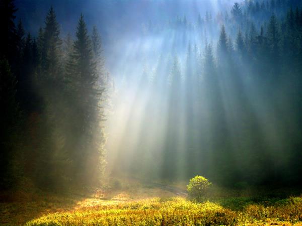 Slovakia walking holiday, guided holiday