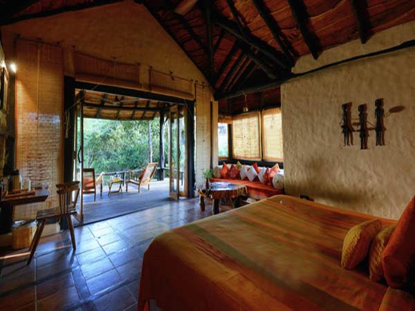 Kanha and Pench NP tour in India