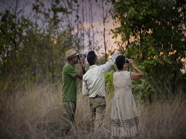 Kanha and Pench NP tour in India