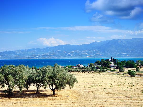 Farm to fork food tour in Greece