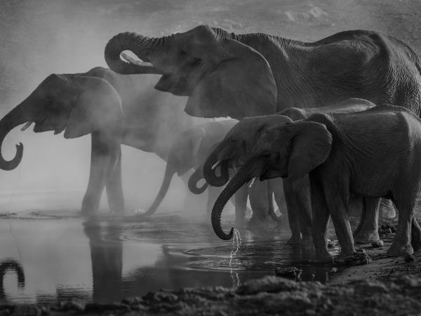 Namibia tailor made safari holidays