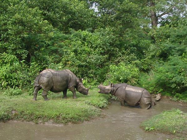Discover Nepal holiday, small group