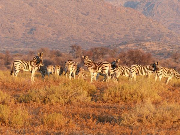 Classic Namibia safaris, tailor made