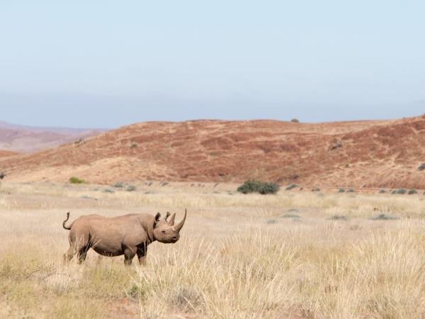 Wheelchair accessible Namibia self drive holiday