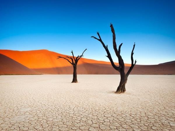 Wheelchair accessible Namibia self drive holiday