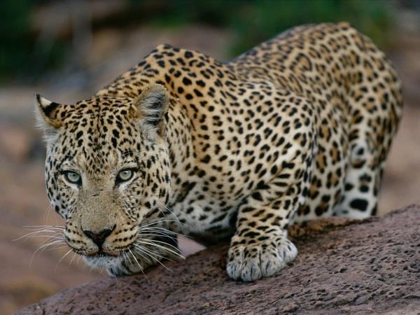 Wheelchair accessible Namibia self drive holiday
