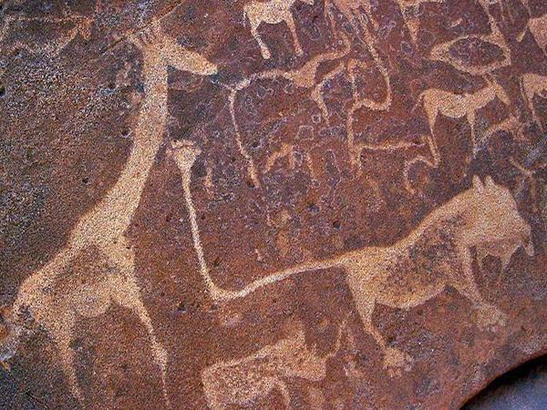 Wheelchair accessible Namibia self drive holiday